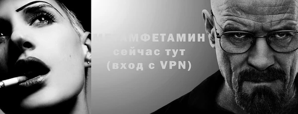 прущие грибы Белокуриха