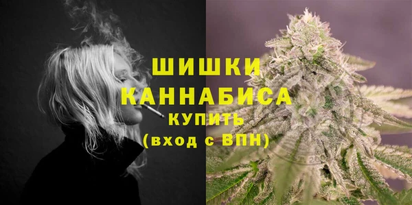 прущие грибы Белокуриха